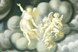 Mibolerone y magnesio: señales de déficit